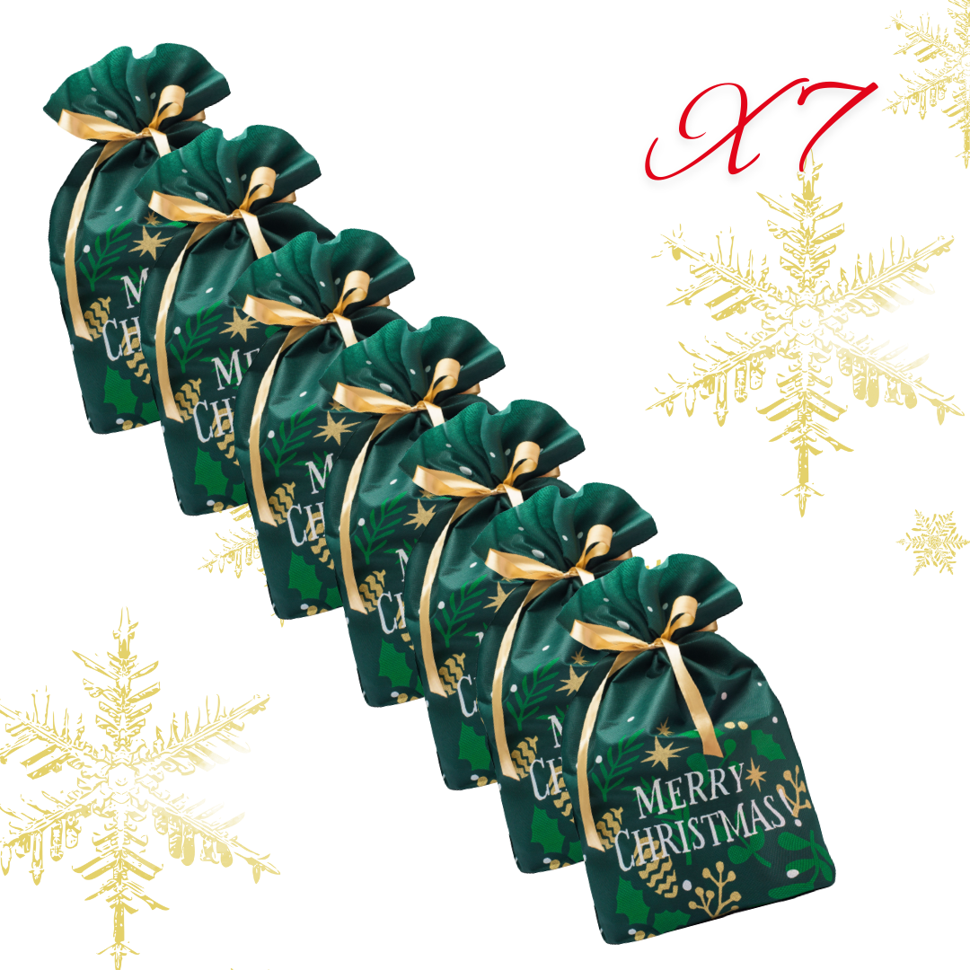 7 Sacchi di Natale