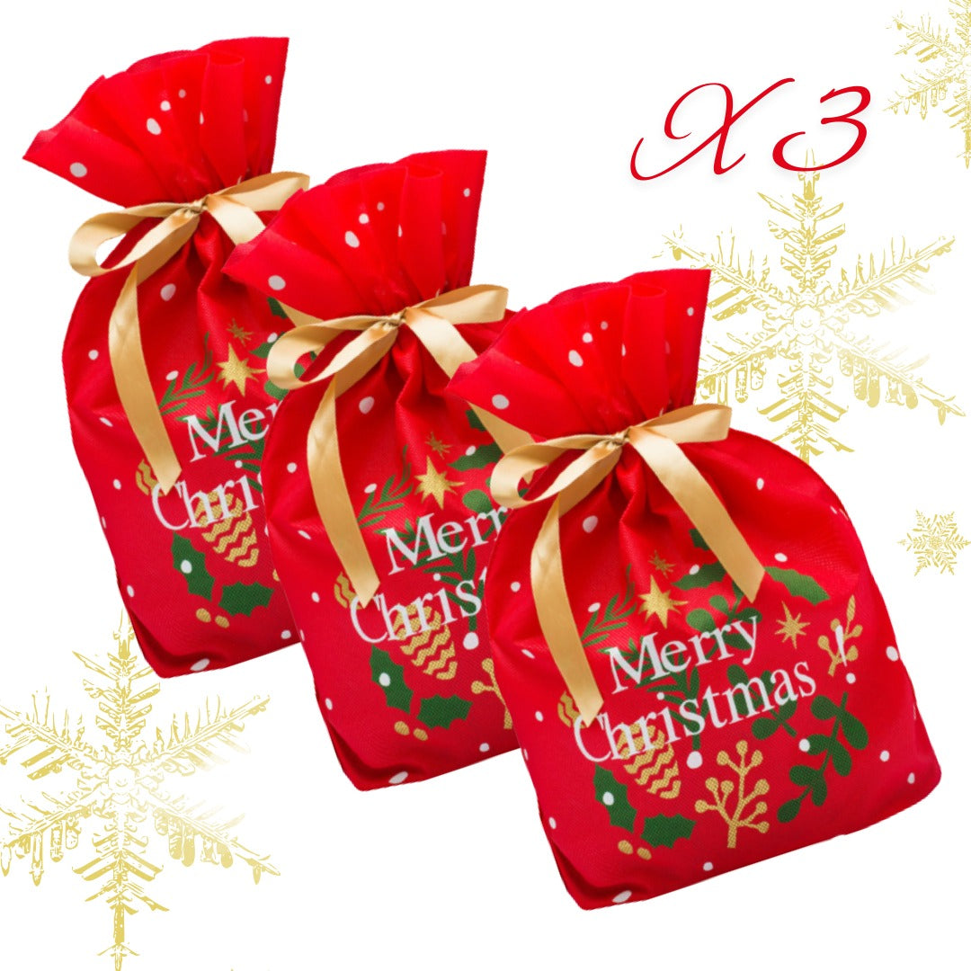 3 Sacchi di Natale Piccanti