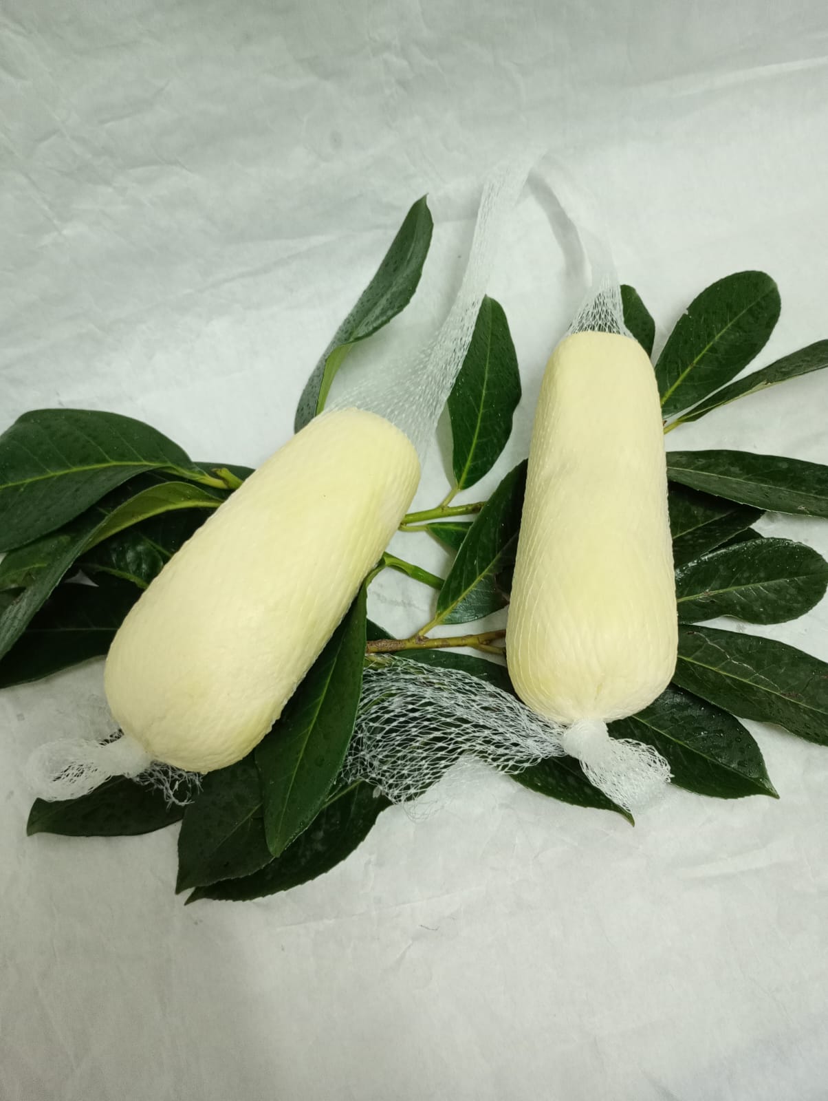 Provola di Latte Locale da circa 500g