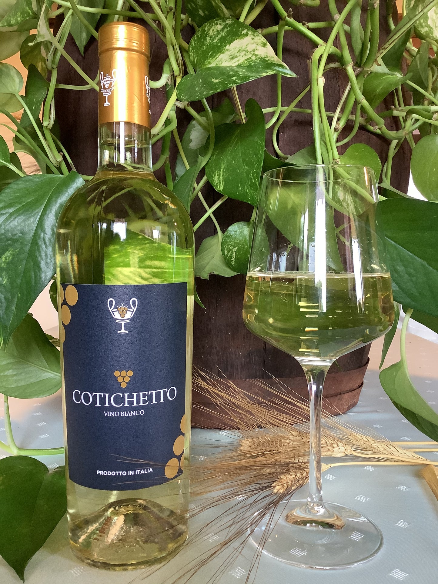 Vino Cotichetto Bianco