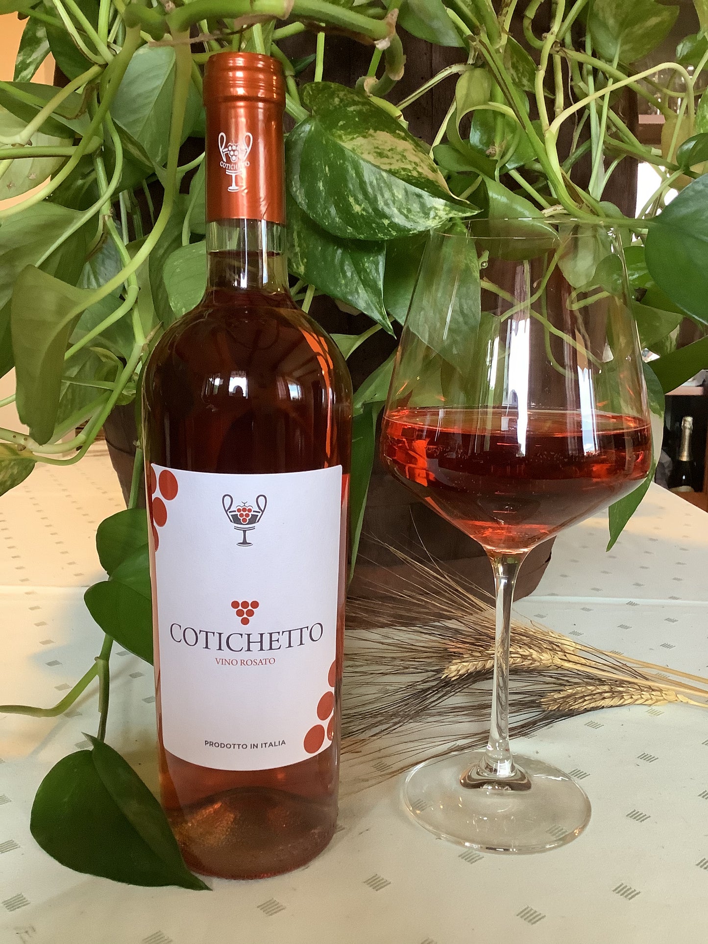 Vino Cotichetto Rosato
