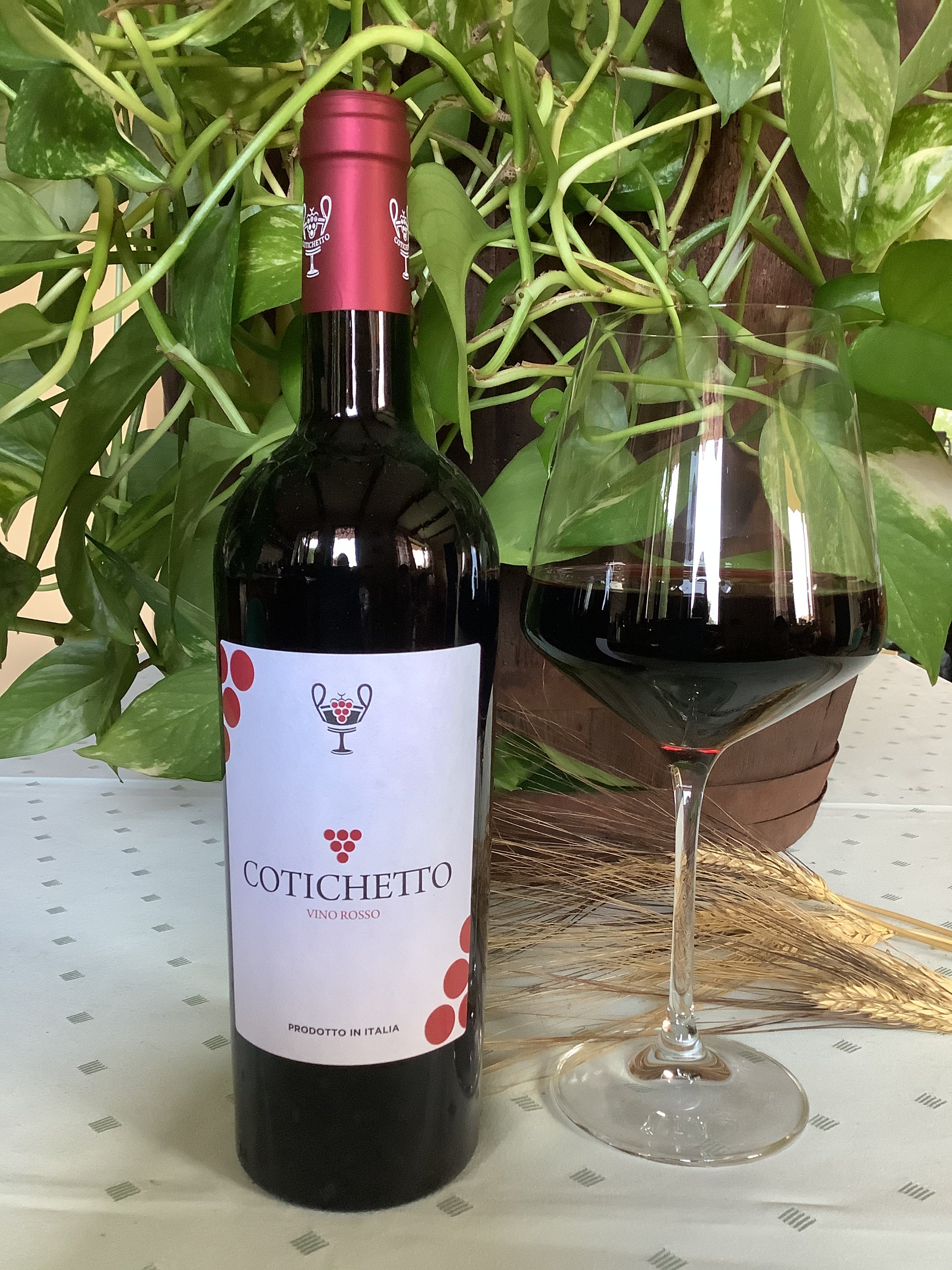 Vino Cotichetto Rosso – Discovering Presila