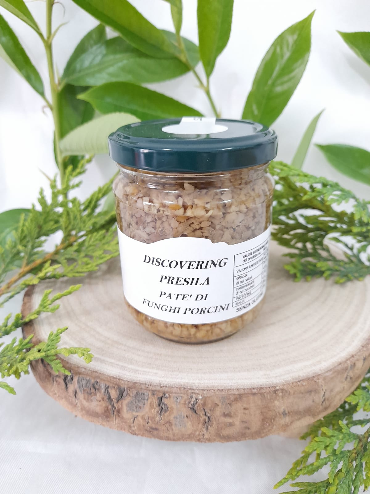Patè di funghi porcini