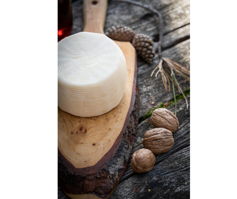 Pecorino Fresco da circa 1,2Kg