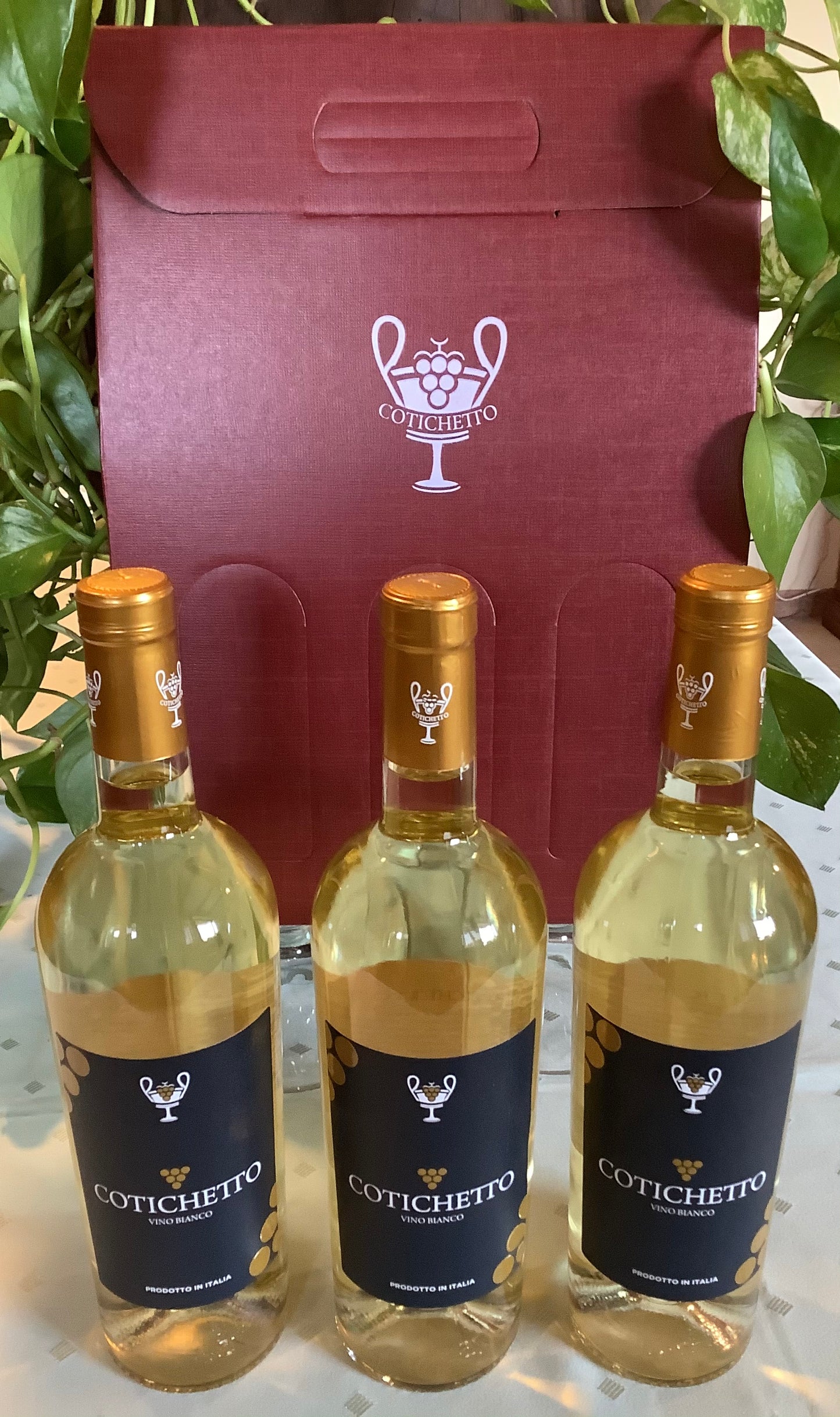 Trittico Vino Bianco Cotichetto